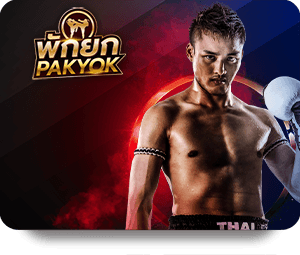 วิธีการสร้างบัญชี Betflix เข้าสู่ระบบ อย่างรวดเร็ว